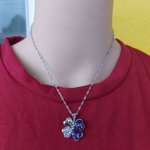 stainless steel chain and earrings set for women.